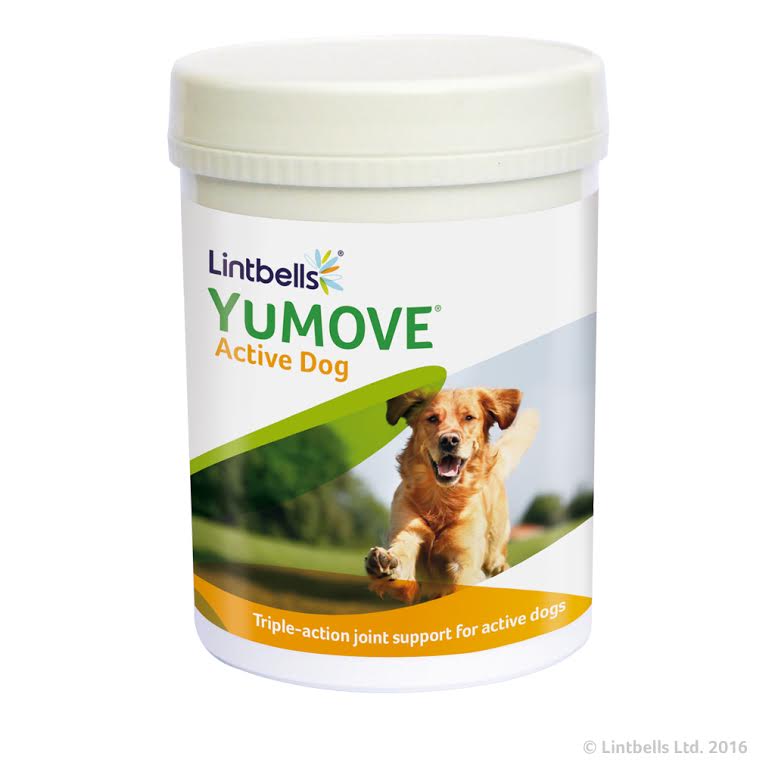YuMOVE Active Dog Joint Supplement For Dogs - 240 Tablets
